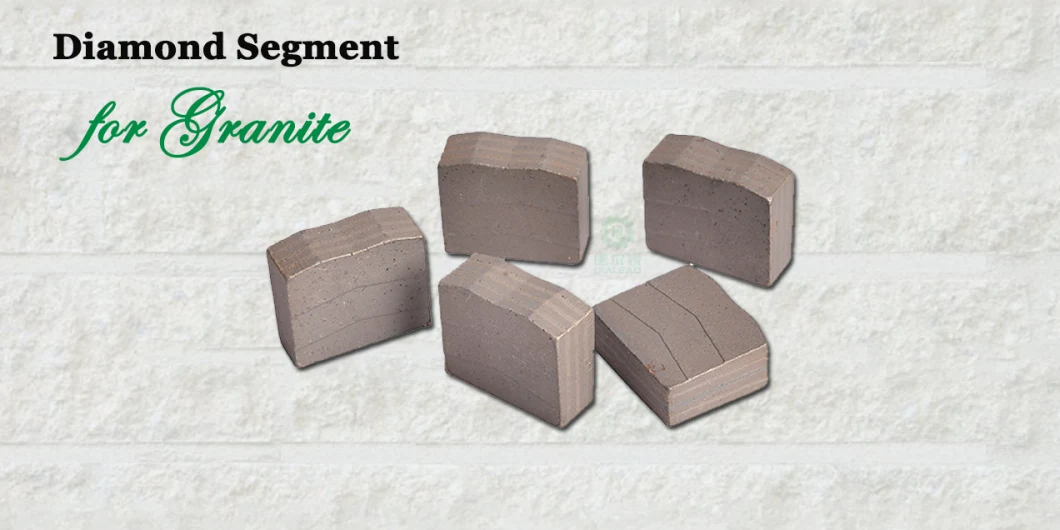 Dialead 3000mm Granite Block Cutting Segments for Russian Market